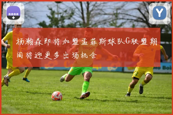 杨瀚森即将加盟孟菲斯球队G联盟期间将迎更多出场机会