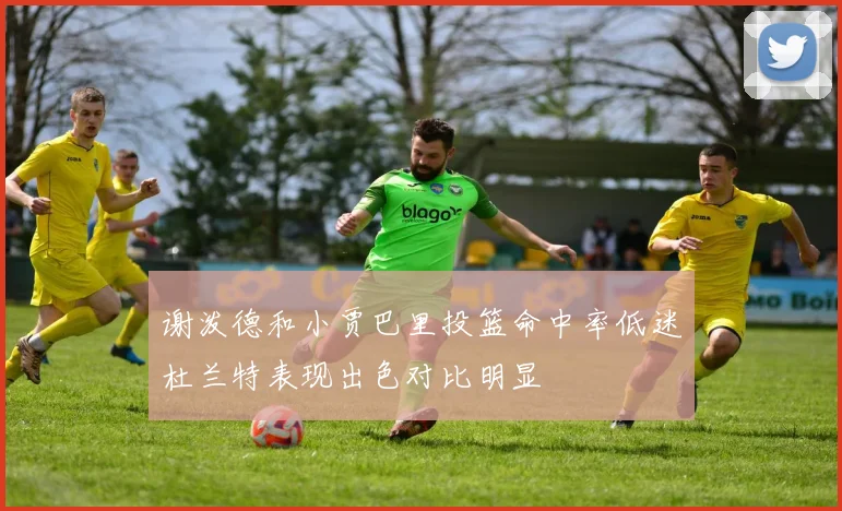 谢泼德和小贾巴里投篮命中率低迷杜兰特表现出色对比明显